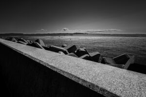 写真作品
