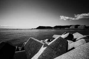 写真作品