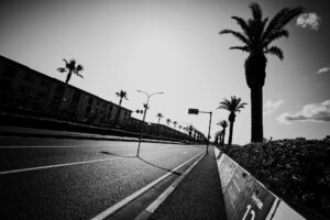 写真作品