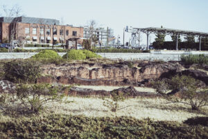 写真作品