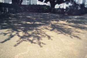 写真一覧 9167