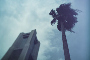 写真一覧 9234