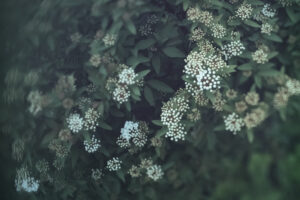 写真一覧 9228