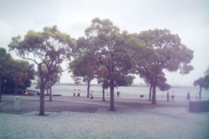 写真一覧 9224