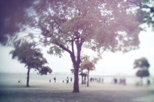 写真一覧 9223