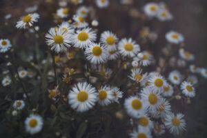 写真一覧 9218