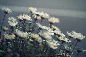 写真一覧 9213