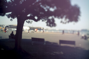 写真一覧 9202