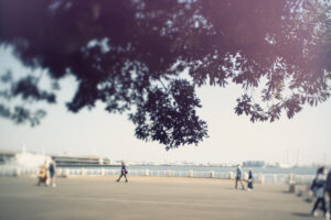 写真一覧 9201