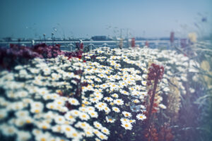 写真一覧 9200