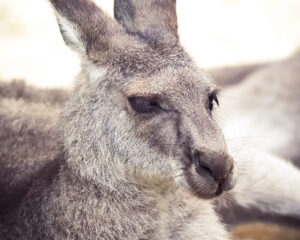写真作品