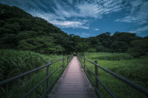 写真作品