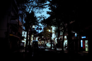写真作品