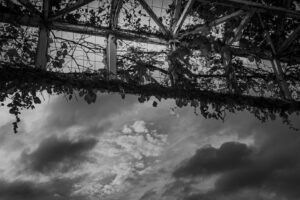 写真作品