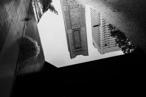 写真作品