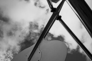 写真作品