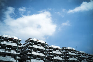写真作品
