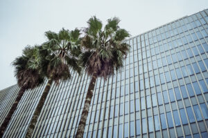 写真作品