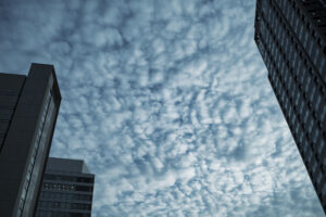 写真作品