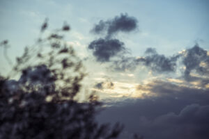 写真作品