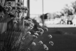 写真作品
