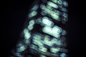 写真作品