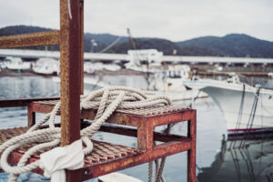 写真作品