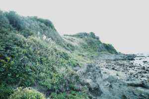 写真作品