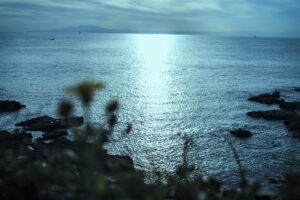 写真作品