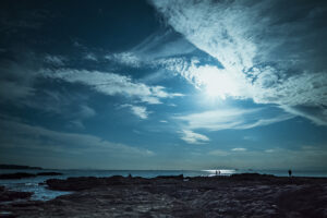 写真作品