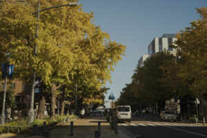 写真作品