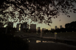 写真作品