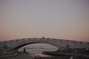 写真作品