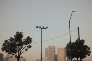 写真作品