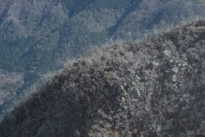 写真作品