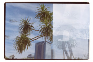 写真作品