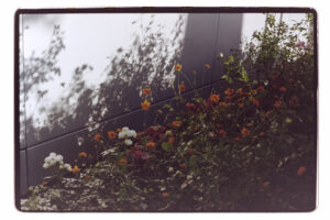 写真作品