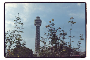 写真作品