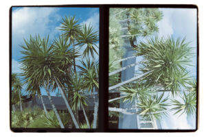 写真作品