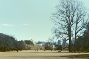 写真作品