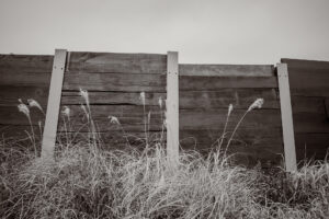 写真作品