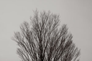 写真作品