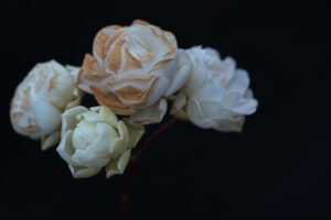 写真作品
