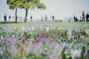 写真作品