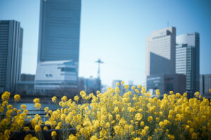 写真作品