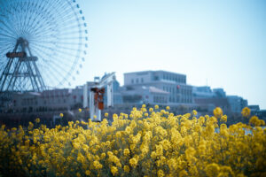写真作品