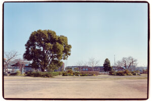 写真作品