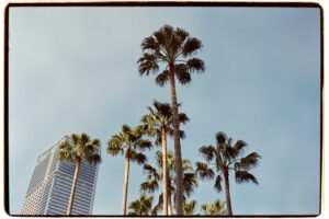 写真作品