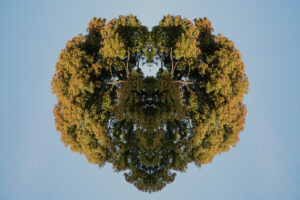 写真作品