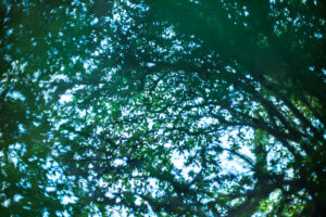 写真作品